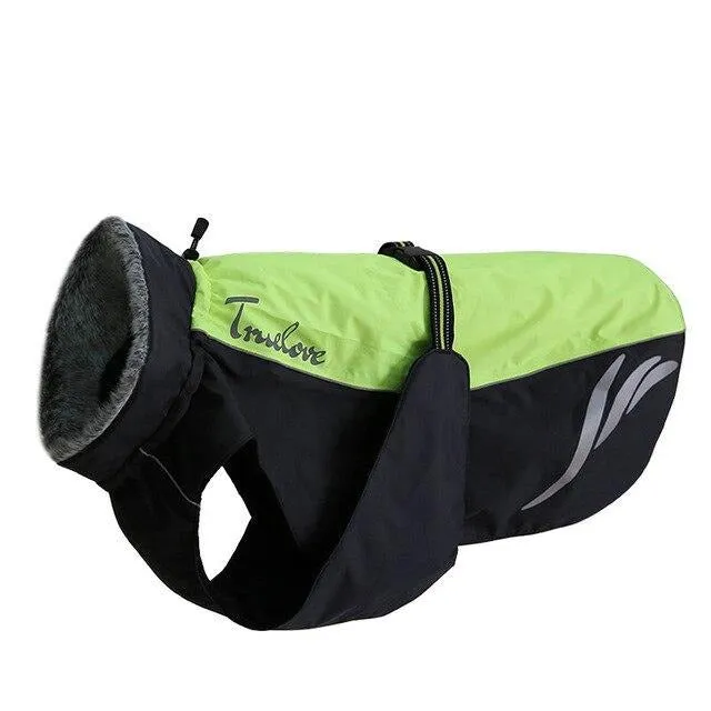 Heating & Warming Vest